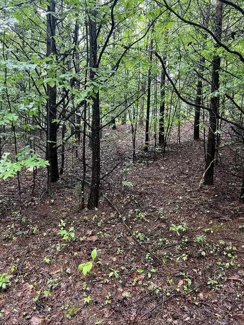 0 Coles Creek Rd, Rocky Mount, VA 24151