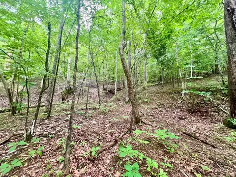 0 Brookside Ct, Axton, VA 24054 photo 24