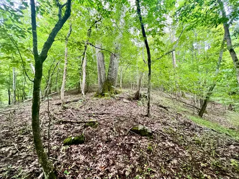 0 Brookside Ct, Axton, VA 24054 photo 30