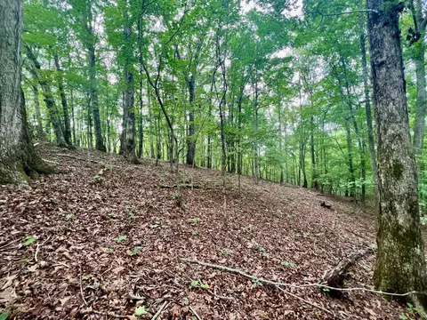 0 Brookside Ct, Axton, VA 24054 photo 10