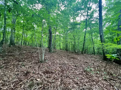 0 Brookside Ct, Axton, VA 24054 photo 13