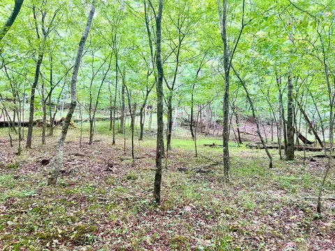 0 Brookside Ct, Axton, VA 24054 photo 23