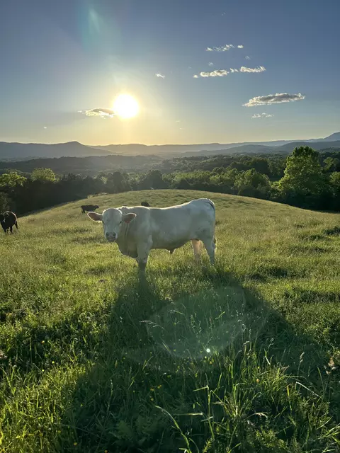 Undisclosed, Lexington, VA 24450