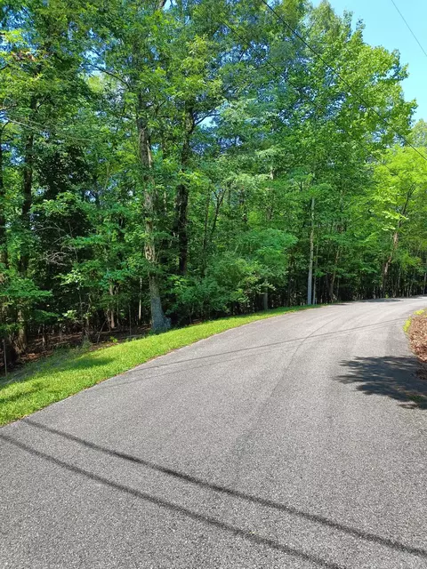 lot59 Old Barn Rd, Moneta, VA 24121