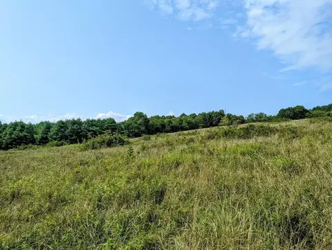 0 Camp Five Rd, Willis, VA 24380 photo 8