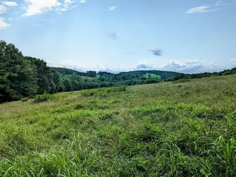 0 Camp Five Rd, Willis, VA 24380 photo 3