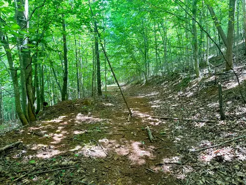 0 Lavender Rd, Shawsville, VA 24162
