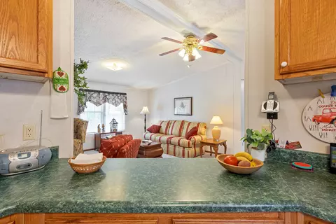 3169 Chantilly Dr, Fancy Gap, VA 24328 photo 26