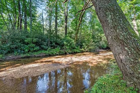3169 Chantilly Dr, Fancy Gap, VA 24328 photo 67