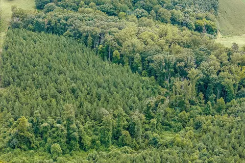 0 Grassland Dr, Sandy Level, VA 24161 photo 10