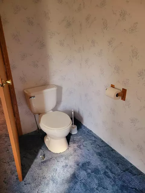 403 Tannery Rd, Iron Gate, VA 24448 photo 26