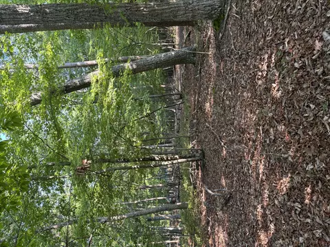 lot75 Mountain View Shrs, Huddleston, VA 24104