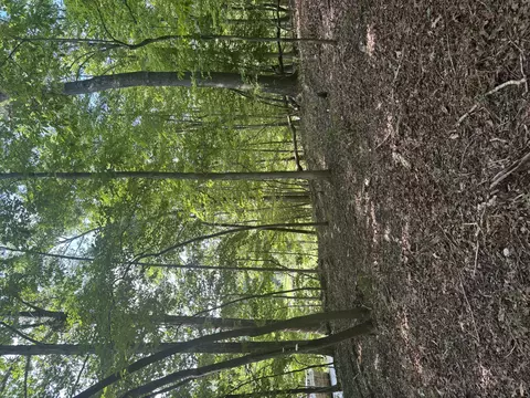 Lot 4 Skyway Dr, Moneta, VA 24121