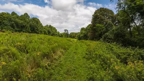 0 Football Ln, Laurel Fork, VA 24352