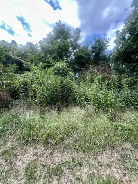 178 Williams Ln, Buchanan, VA 24066