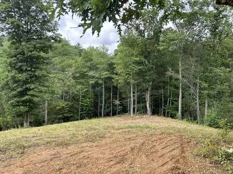 0 Sowers Rd NE, Floyd, VA 24091 photo 3