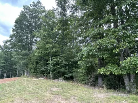 0 Sowers Rd NE, Floyd, VA 24091 photo 2
