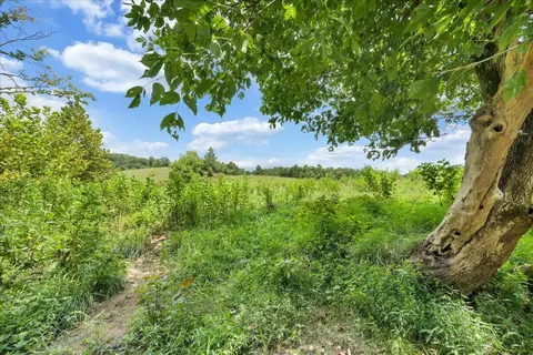 0 Zeh St, Goodview, VA 24095 photo 3