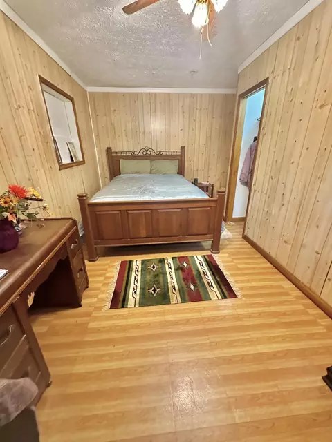 5703 Bens Run Rd, Covington, VA 24426 photo 29