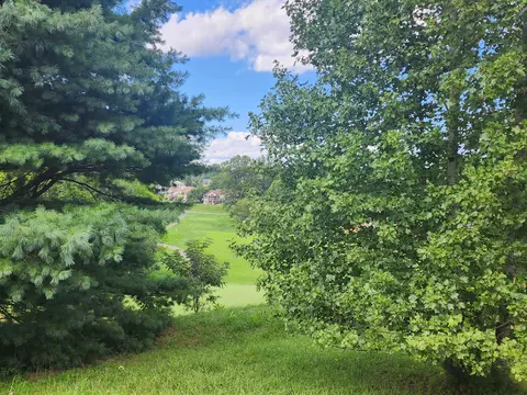 Exterior - 156 Bermuda Dr, Hardy, VA 24101 photo 5 of 9