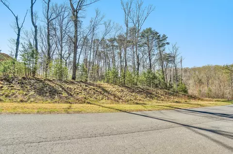 3625 Ballyhack Trl, Roanoke, VA 24014 photo 9