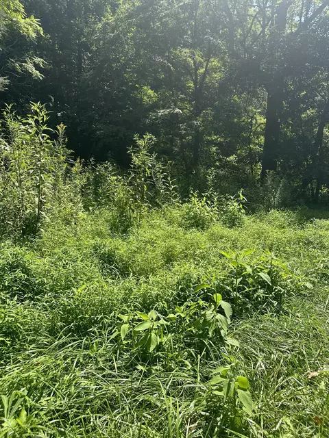 0 Callaway Rd, Callaway, VA 24067 photo 2