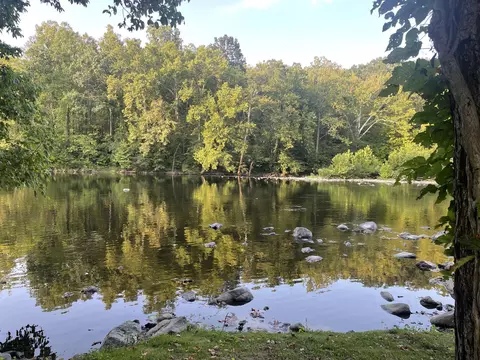 307 Tannery Rd, Iron Gate, VA 24448
