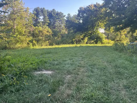229 Mt Joy Rd, Buchanan, VA 24066