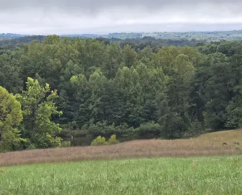 0 Burnt Chimney Rd, Wirtz, VA 24184
