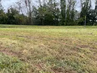 0 Bonbrook Mill Rd, Boones Mill, VA 24065