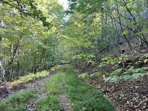 0 Moncove Lake Rd, Union, WV 24983