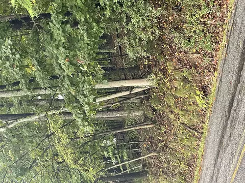 0 Nace Rd, Troutville, VA 24175