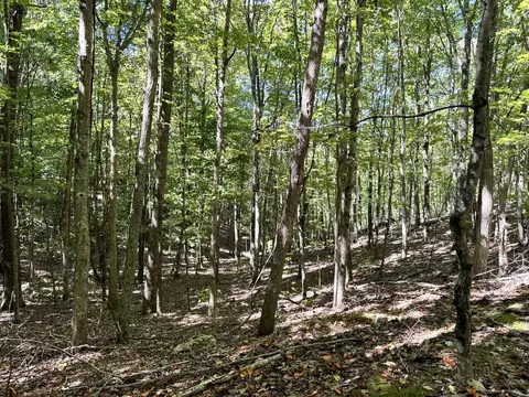 0 Turkey Creek Rd, Union, WV 24983