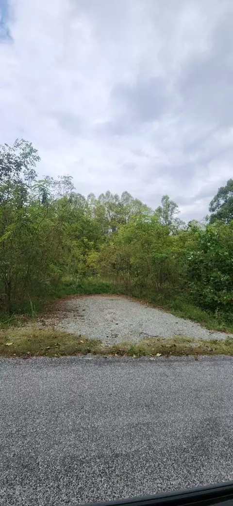 0 Waidsboro Rd, Ferrum, VA 24088