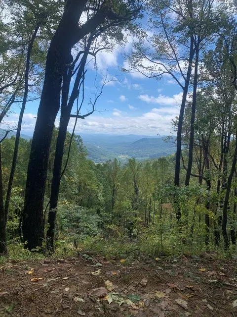0 Slings Gap Rd, Bent Mountain, VA 24059