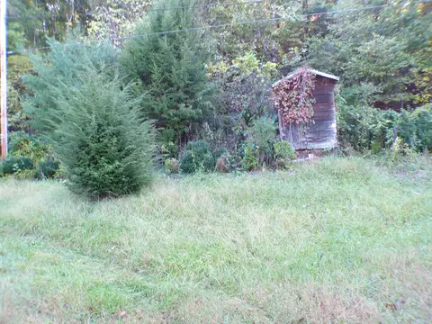 1488 Lithia Rd, Buchanan, VA 24066 photo 4