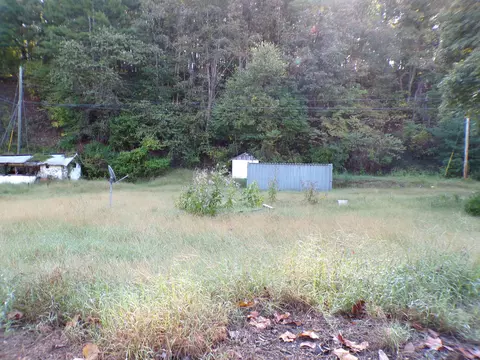 1488 Lithia Rd, Buchanan, VA 24066 photo 7