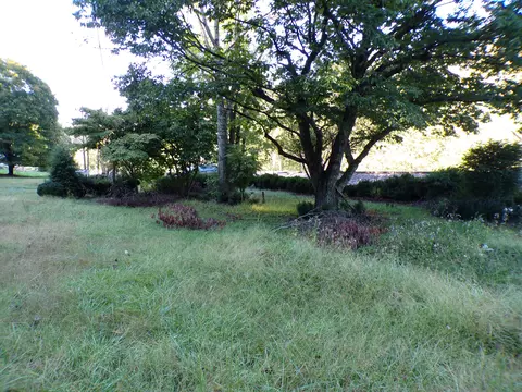 1488 Lithia Rd, Buchanan, VA 24066 photo 2