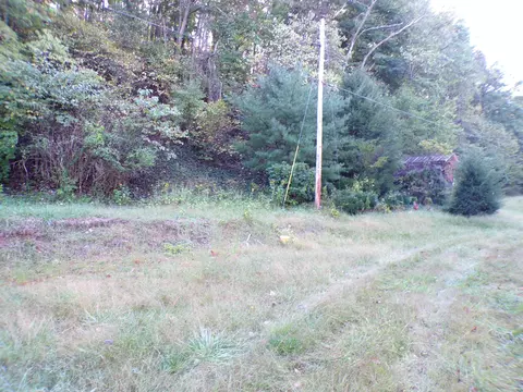 1488 Lithia Rd, Buchanan, VA 24066 photo 3