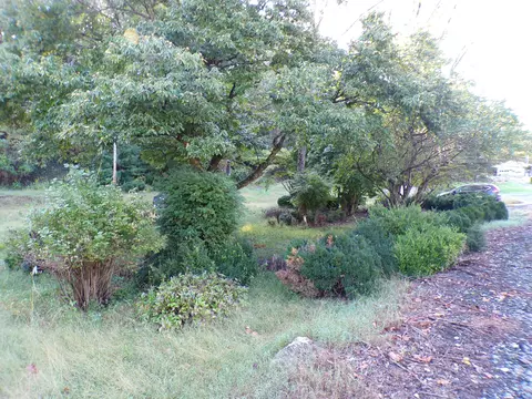1488 Lithia Rd, Buchanan, VA 24066 photo 6