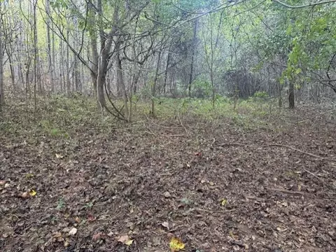 lot3 Callaway Rd, Callaway, VA 24067