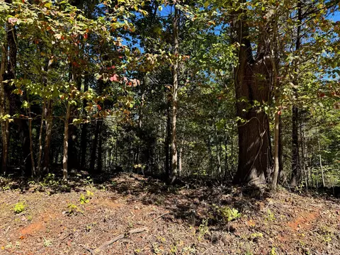 lot3 Narrows Rd, Boones Mill, VA 24065