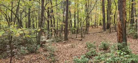 lot11 Ferrum Forest Rd, Ferrum, VA 24088