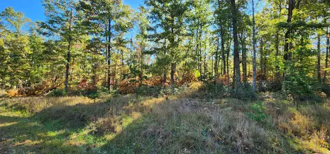 lot102 Black Diamond Rd, New Castle, VA 24127