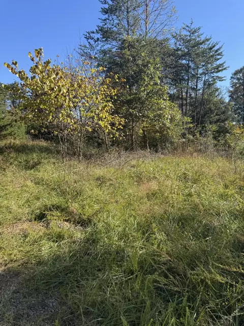 1748 Navigation Pt, Goodview, VA 24095 photo 1