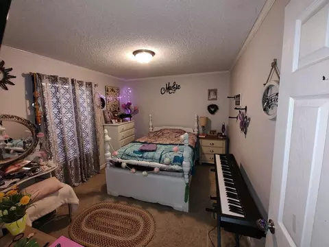 5209 Old Pike Rd, Pilot, VA 24138 photo 16