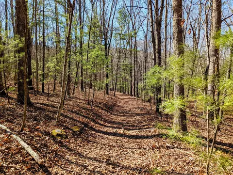 0 President Jackson Rd, Max Meadows, VA 24360 photo 3