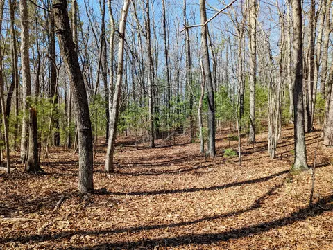 0 President Jackson Rd, Max Meadows, VA 24360