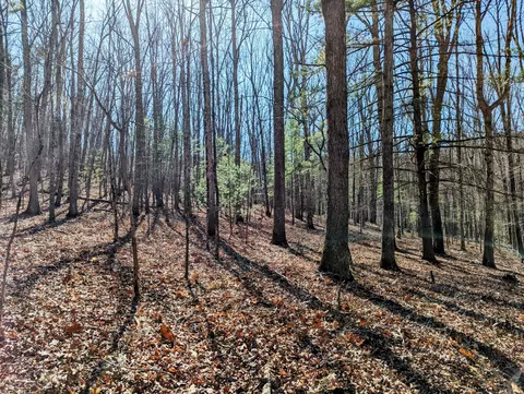 0 President Jackson Rd, Max Meadows, VA 24360 photo 4