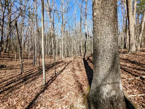 0 President Jackson Rd, Max Meadows, VA 24360 photo 8